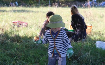 Projektende von PröBiErs: Auch das Ende von Ernährungsbildung beim Ernährugnsrat?